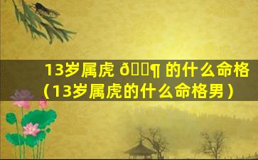 13岁属虎 🐶 的什么命格（13岁属虎的什么命格男）